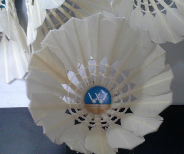 shuttlecock