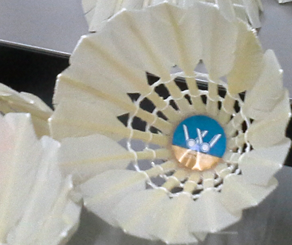shuttlecock